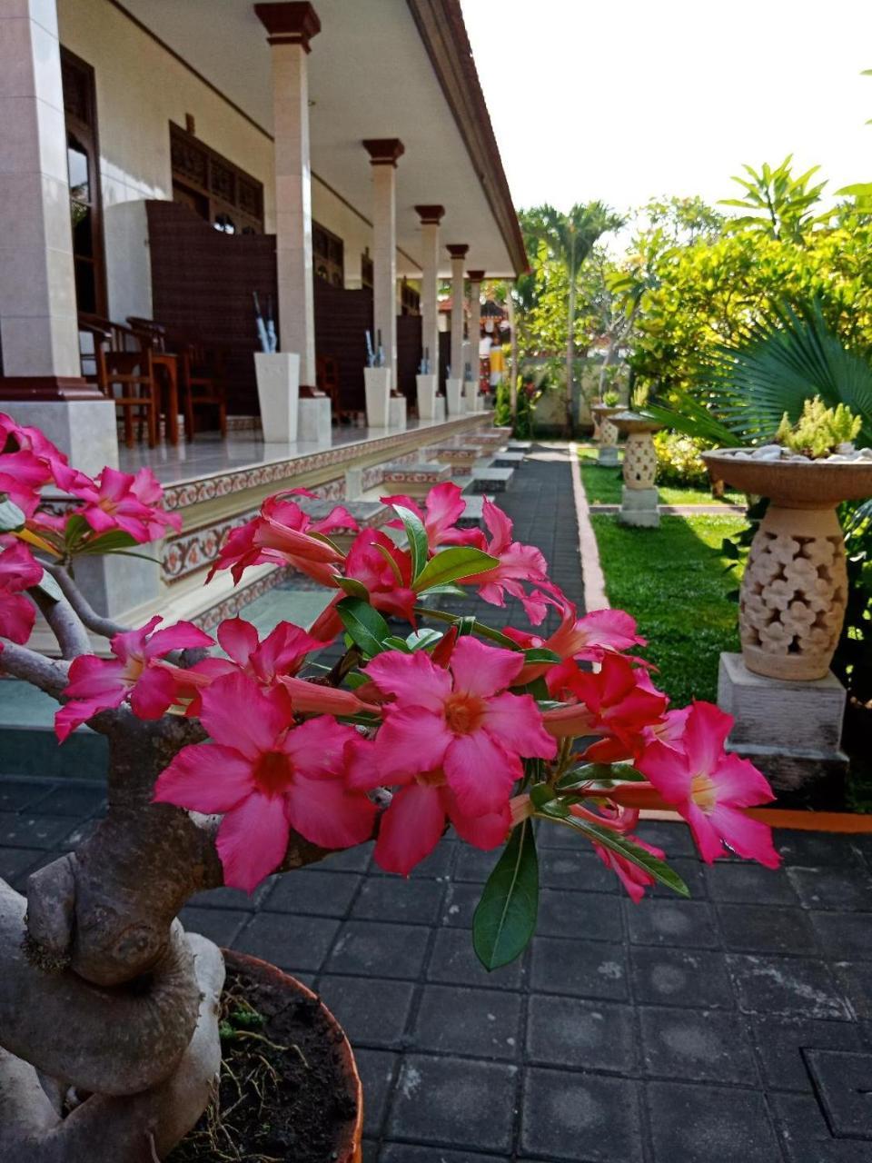 Frangipani Homestay Нуса-Дуа Экстерьер фото