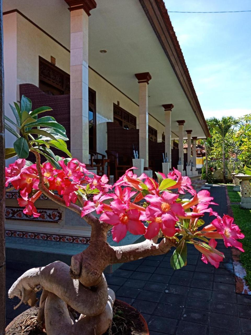 Frangipani Homestay Нуса-Дуа Экстерьер фото